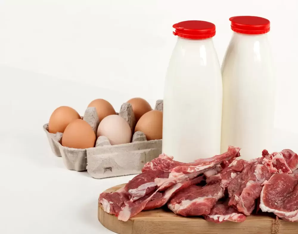 Soğuk Zincir Et ve Süt Ürünleri Nakliyesi